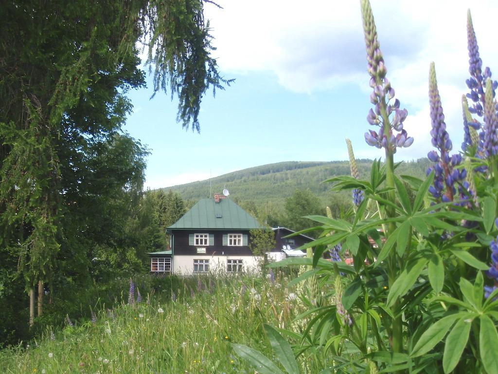 Vila Martin Harrachov Exterior foto